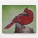 Search for cardinal mousepads Birds