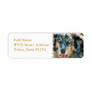 Search for vet return address labels Pet