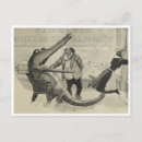 Search for vintage alligator postcards Crocodiles