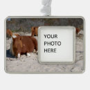 Search for assateague christmas tree decorations Beach