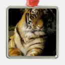 Search for detroit christmas tree decorations North america
