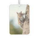 Search for animal car air fresheners Nature