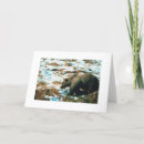 Search for grizzly bear cards Winter
