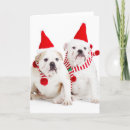 Search for togetherness seasonal cards Photography