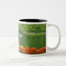 Search for lisse mugs Dutch