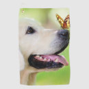 Search for labrador golf equipment Golden retriever