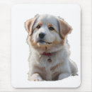 Search for markings mousepads Pet