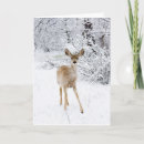 Search for deer hunting christmas cards Forest
