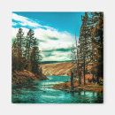 Search for yellowstone national park magnets Vacation