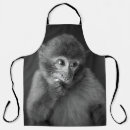 Search for monkey photography Nature