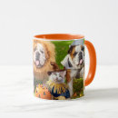 Search for halloween pet costume mugs Pets