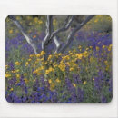 Search for poppi mousepads Floral