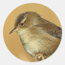 Search for wrens stickers Wildlife