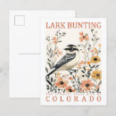 Search for larks postcards Vintage