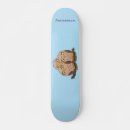 Search for owl skateboards Animal