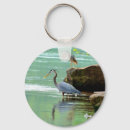 Search for heron key rings Nature