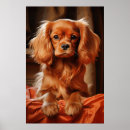Search for ruby art Cavalier king charles spaniel