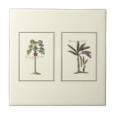 Search for frame tiles Botanical