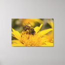 Search for honey bee canvas prints Daisy