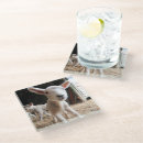 Search for cute animals coasters Young animal