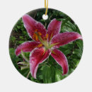 Search for stargazer lily decor Beautiful