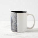 Search for tasmanian devil mugs Cute