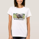 Search for colt tshirts Equine