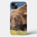Search for brown bear ipad cases Wildlife