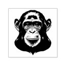 Search for primate rubber stamps Animal