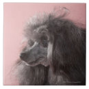Search for side by side tiles Dog
