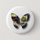 Search for butterflies design badges Digital