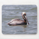 Search for pelicans mousepads Brown pelican