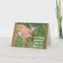 Search for deer funny birthday cards Hunter