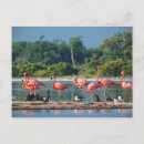 Search for rio photography Outdoors