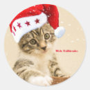 Search for mele kalikimaka stickers Hawaii