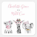 Search for safari labels Pink