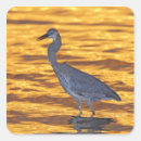 Search for florida park stickers Sunset