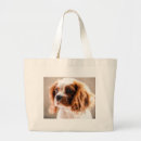 Search for cavalier bags Pets