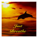 Search for dolphin sunset posters Sea