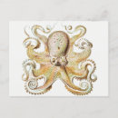 Search for mollusks postcards Vintage