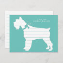 Search for schnauzer puppy postcards Cute