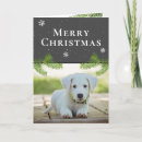 Search for dog photo cards Festive