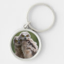 Search for owl images key rings Nature