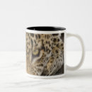 Search for kruger park mugs Wildlife