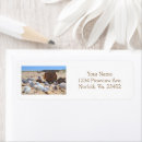 Search for beach crab return address labels Seashore