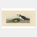 Search for audubon birds stickers Vintage