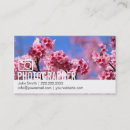 Search for cherry photography Modern