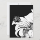 Search for ladybirds invitations White