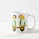 Search for caique mugs Parrot