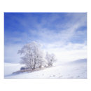 Search for large format posters Scenic